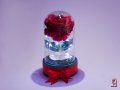 Вечна Роза в Стъкленица с Лампички / LED светлини / Подарък за Рожден Ден - Светеща Вечна Роза, снимка 5