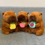 Плюшена играчка Капибара с плод 25см, плюшени Capybara fruit plush toy, снимка 1