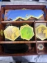 Catan - пълен комплект с всички разширения, снимка 2