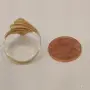 Ефектен дамски златен пръстен 14K (585) – 2.40 гр. [ПРОМО ЦЕНА], снимка 2