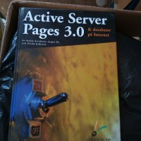 Програмиране Active Server Pages 3.0, снимка 1 - Учебници, учебни тетрадки - 32024267
