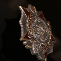 Медал Александър Невски, снимка 2 - Колекции - 35164707
