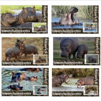 Чисти блокове Фауна Хипопотами 2020 от Тонго, снимка 1 - Филателия - 37604376