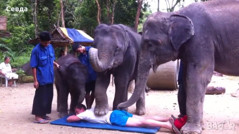 Масаж на четири ръце, снимка 1