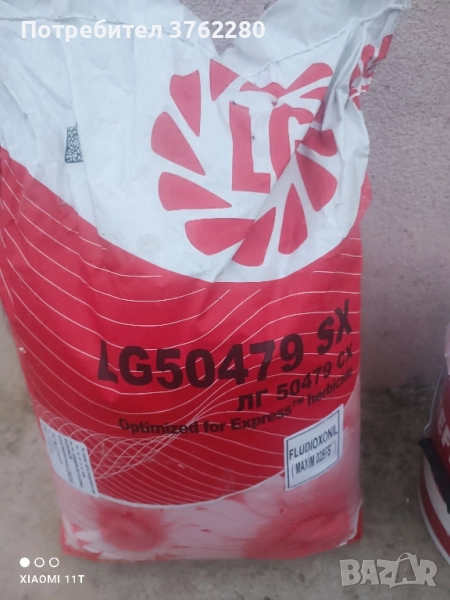 семена слънчоглед , снимка 1