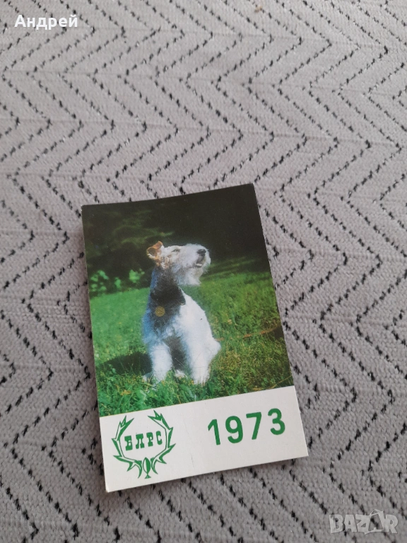 Календарче Блрс 1973 #2, снимка 1