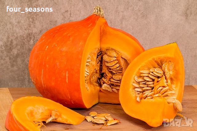 Семена от тиква Хокайдо, снимка 1