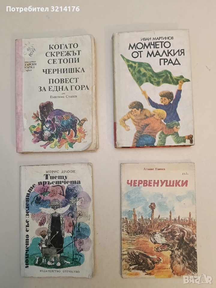 Момчето от малкия град - Иван Мартинов, снимка 1