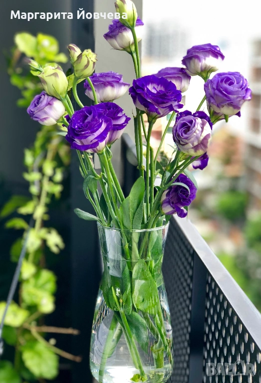 Не е бизнес, а решение!, снимка 1