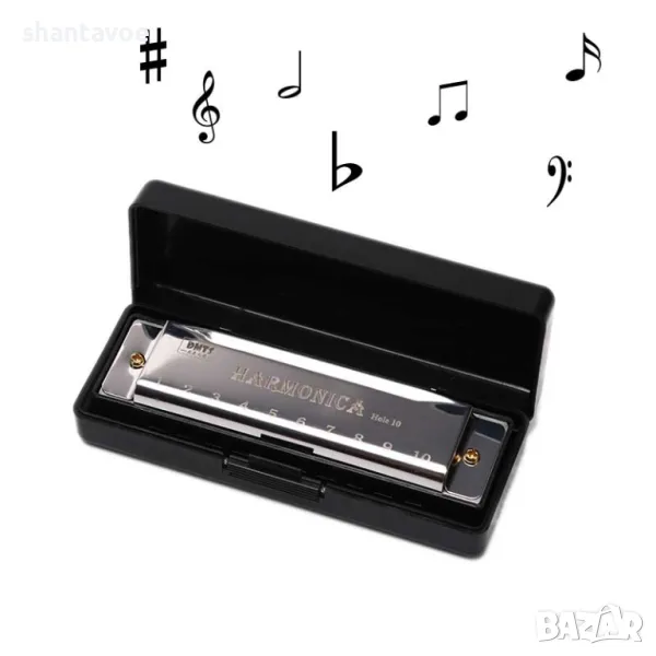 Класическа хармоника с 10 тона и кутия за съхранение, снимка 1