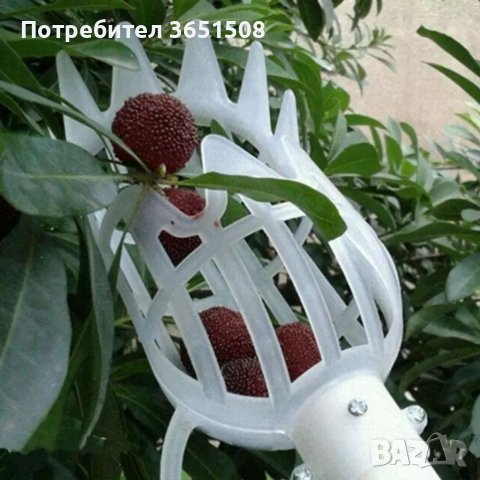 Берачка за плодни дръвчета, снимка 4 - Градински инструменти - 39821945