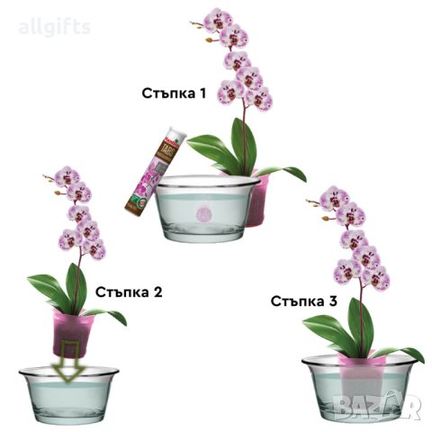 Тор Plantella на таблетки за орхидеи 4 гр. х 20 бр. таблетки, снимка 2 - Тор и почвени смеси - 44507416