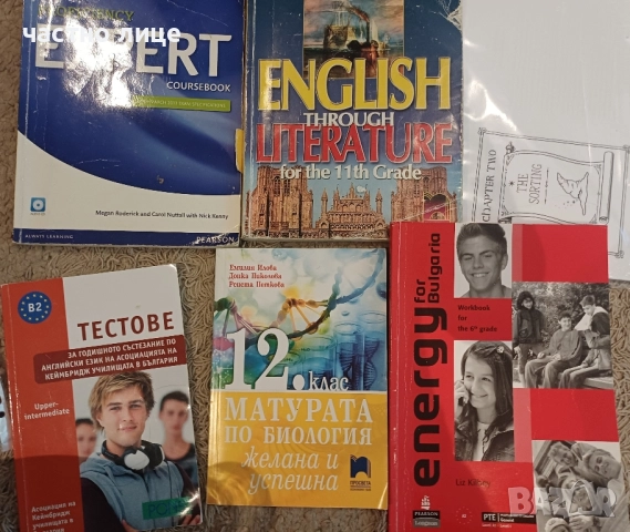Английски език,тестове и разни, снимка 2 - Чуждоезиково обучение, речници - 51772330