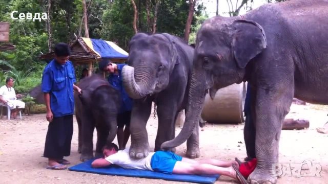 Масаж на четири ръце