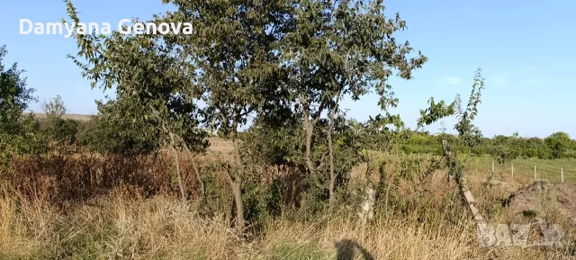 Продава се парцел 560 кв.м в гр. Бургас, кв. Черно море, местността Конуса, снимка 2 - Парцели - 55891807