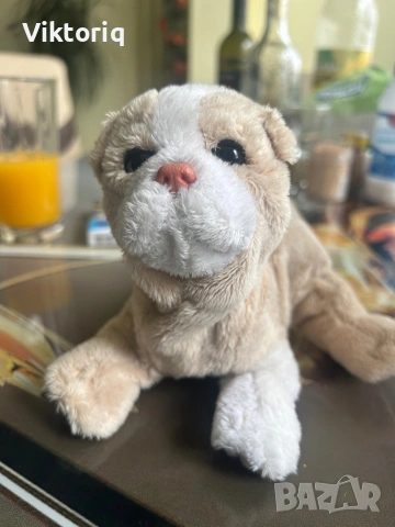 Интерактиво куче