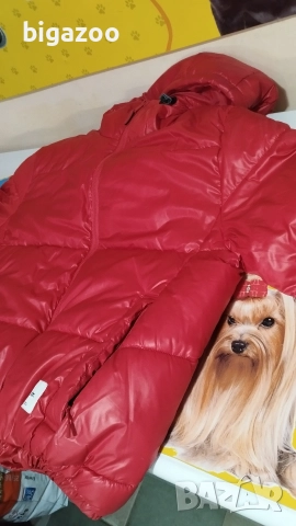 яке HOUSE, снимка 7 - Якета - 52798899