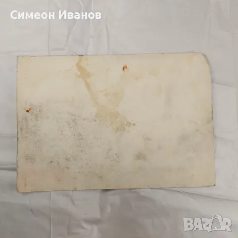 Интересна стара картина акварел SG2021, снимка 5 - Картини - 47577008