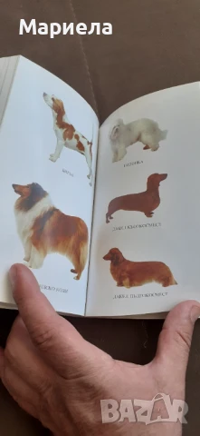 Кучета и други животни , снимка 5 - Специализирана литература - 50879058