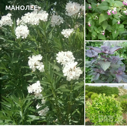 🎁🎁🎁🎁🎁ПОДАРЪЦИ🎁🎁🎁🎁🎁🎁