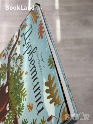 Дърветата| Пьотр Соха , снимка 4 - Детски книжки - 54179710