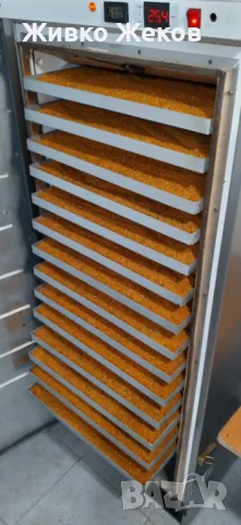 Пчелен прашец "Сребърна"-реколта 2025г., снимка 2 - Пчелни продукти - 49031525