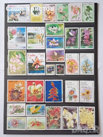 Пощенски марки тема ”Растения”.