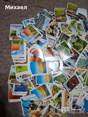 Стикери / лепенки за албум с животни на Билла, снимка 3 - Други - 51347384