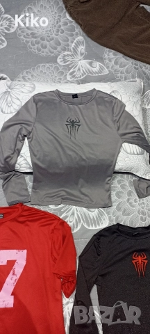 Блузки за момиче  - 5 бр. за 20 лв., снимка 6 - Блузи с дълъг ръкав и пуловери - 52775040