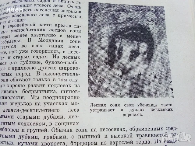 Сони - А.Е.Айрапетьянц - 1983г., снимка 5 - Наука, техника и компютри - 56207943