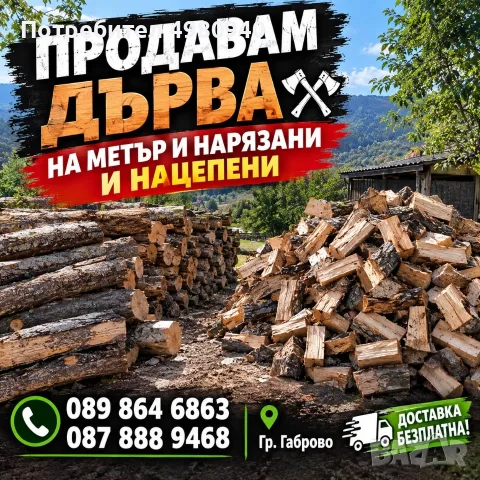 Почистване Дърводобив и Др, снимка 3 - Други - 56535230