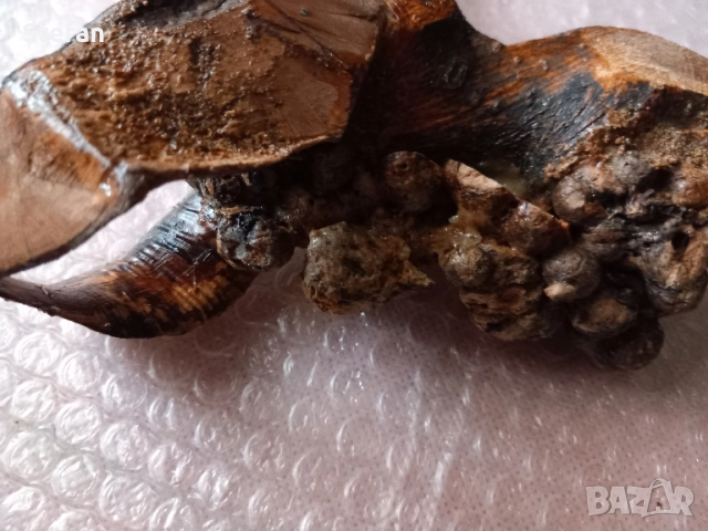 Дървени предмети, снимка 8 - Антикварни и старинни предмети - 10486137