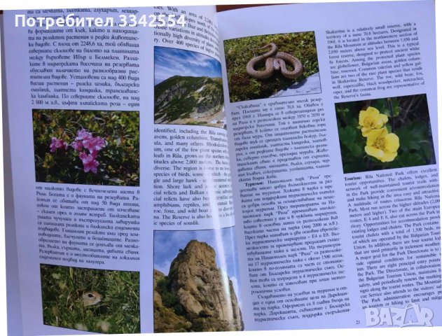 КНИГА-КАТАЛОГ ЛУКС СНИМКИ ФЛОРА ФАУНА БЪЛГАРИЯ НАЦИОНАЛНИ ПАРКОВЕ, снимка 3 - Специализирана литература - 38254279