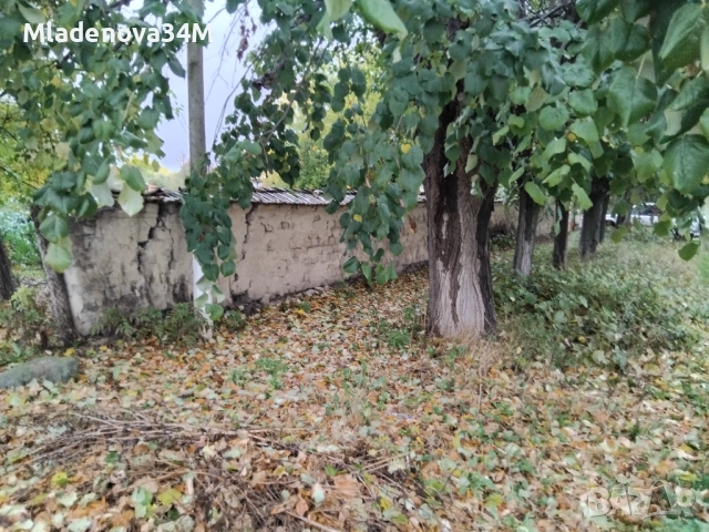 Имот с голям двор, снимка 12 - Къщи - 52255307