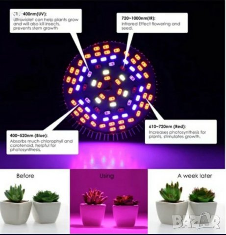 Лампа за бърз растеж Фито лампа Растения Лед Осветление Разсад, снимка 3 - Лед осветление - 31267909