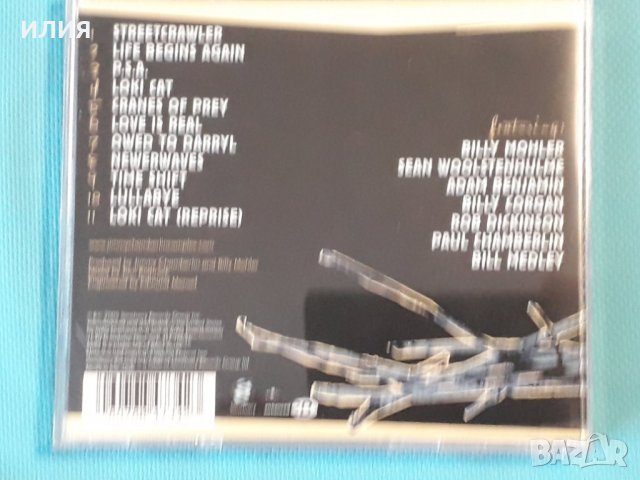 Jimmy Chamberlin Complex – 2005 - Life Begins Again(Jazz-Rock,Fusion), снимка 5 - CD дискове - 42752668