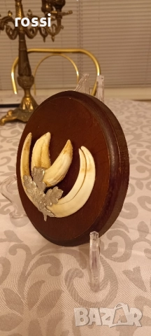 Красиви немски трофеи диво прасе, документ, трофей, снимка 3 - Колекции - 44200959