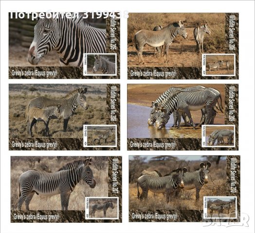 Чисти блокове Фауна Зебри 2020 от Тонго, снимка 1 - Филателия - 37603039