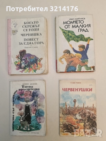 Момчето от малкия град - Иван Мартинов