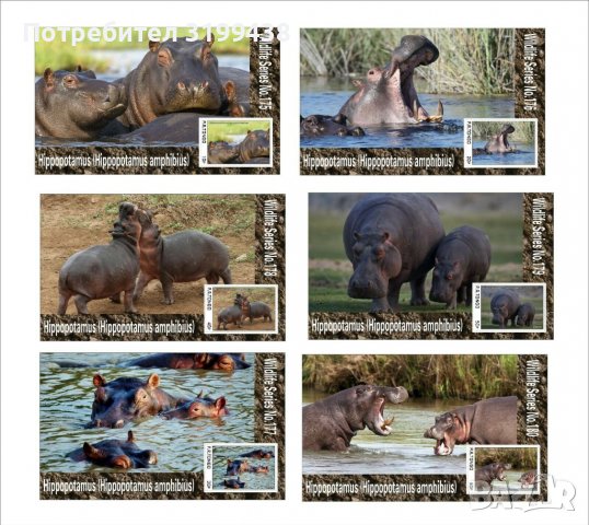 Чисти блокове Фауна Хипопотами 2020 от Тонго, снимка 1