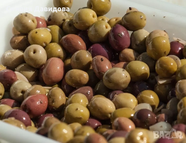 Маслина Европейска, снимка 3 - Градински цветя и растения - 52508763