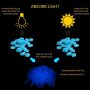 Светещи камъни градински декоративни фосфорни соларни камъчета, снимка 5