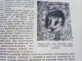 Сони - А.Е.Айрапетьянц - 1983г., снимка 5