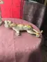 Много красив порцеланов тигър, снимка 12