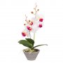 Изкуствена декоративна орхидея в саксия, 31 см, бяла/лилава, снимка 1 - Изкуствени цветя - 35569976