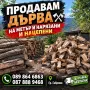 Почистване Дърводобив и Др, снимка 3