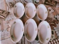 Порцеланови чинии елипса, снимка 5