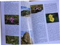 КНИГА-КАТАЛОГ ЛУКС СНИМКИ ФЛОРА ФАУНА БЪЛГАРИЯ НАЦИОНАЛНИ ПАРКОВЕ, снимка 3