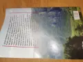 ВАНГА 2509260933, снимка 14