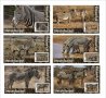 Чисти блокове Фауна Зебри 2020 от Тонго